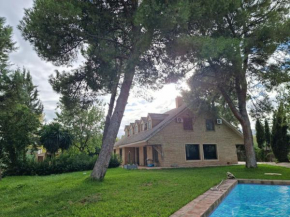 Vega de la Reina